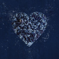KIXO, 10CM , B.I - Love Dilemma