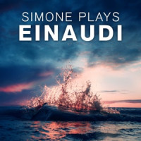 Michel Simone - Experience