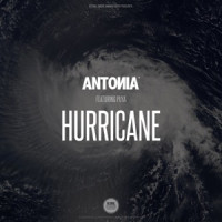 Antonia, Puya - Hurricane