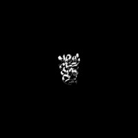 Captown - Гасолина