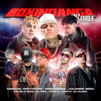 Dj Plaga, Ezequiel Matthysse, Marcianeke, Lil Pani, Julianno Sosa, Kaleb Di Masi, Jota M & John C - Boxindanga (Remix)