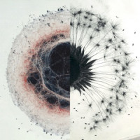 brb. - Dandelions