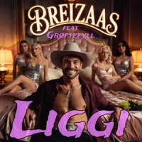 Breizaas, Grøftefyll - Liggi
