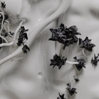 Dreamstruck - Shattered Dreams (edit)